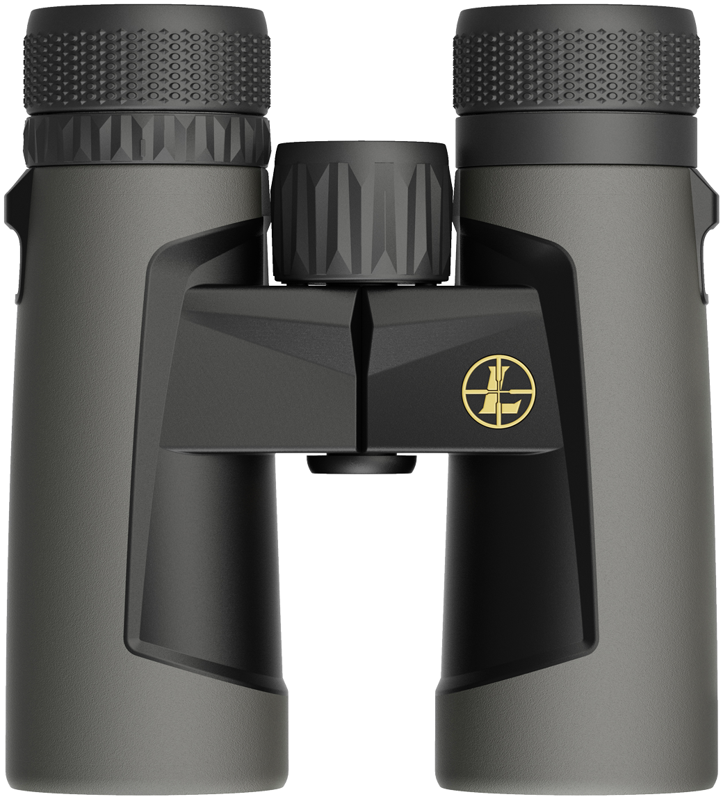 Leupold rogue 10x42 top