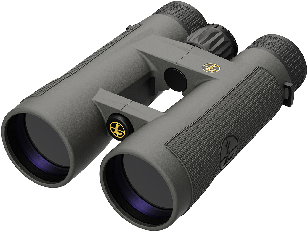 BX 4 Pro Guide HD 10x50mm Leupold