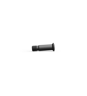 DeltaPoint Pro Mounting Screw