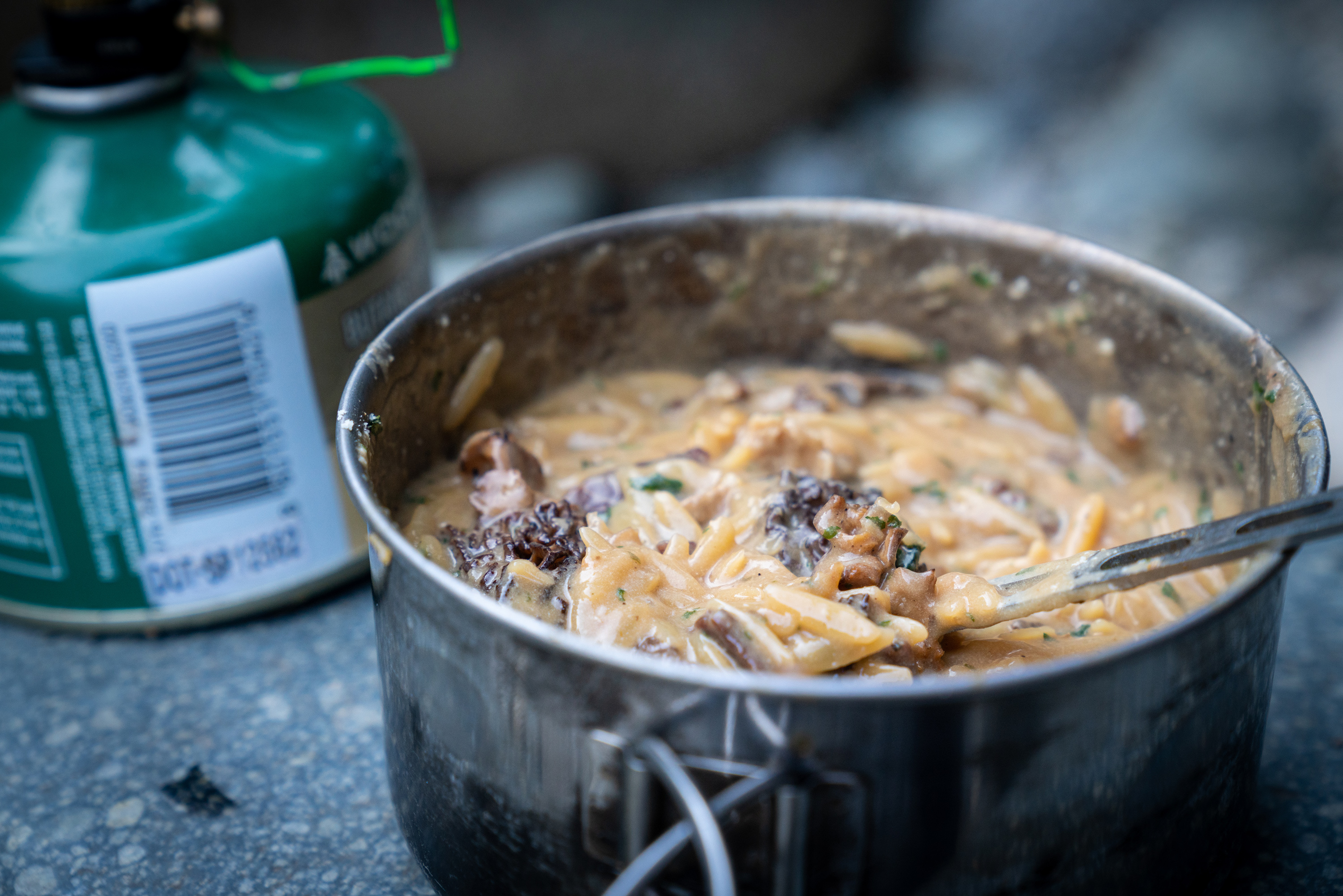 Field To Table: Backcountry Venison Stroganoff