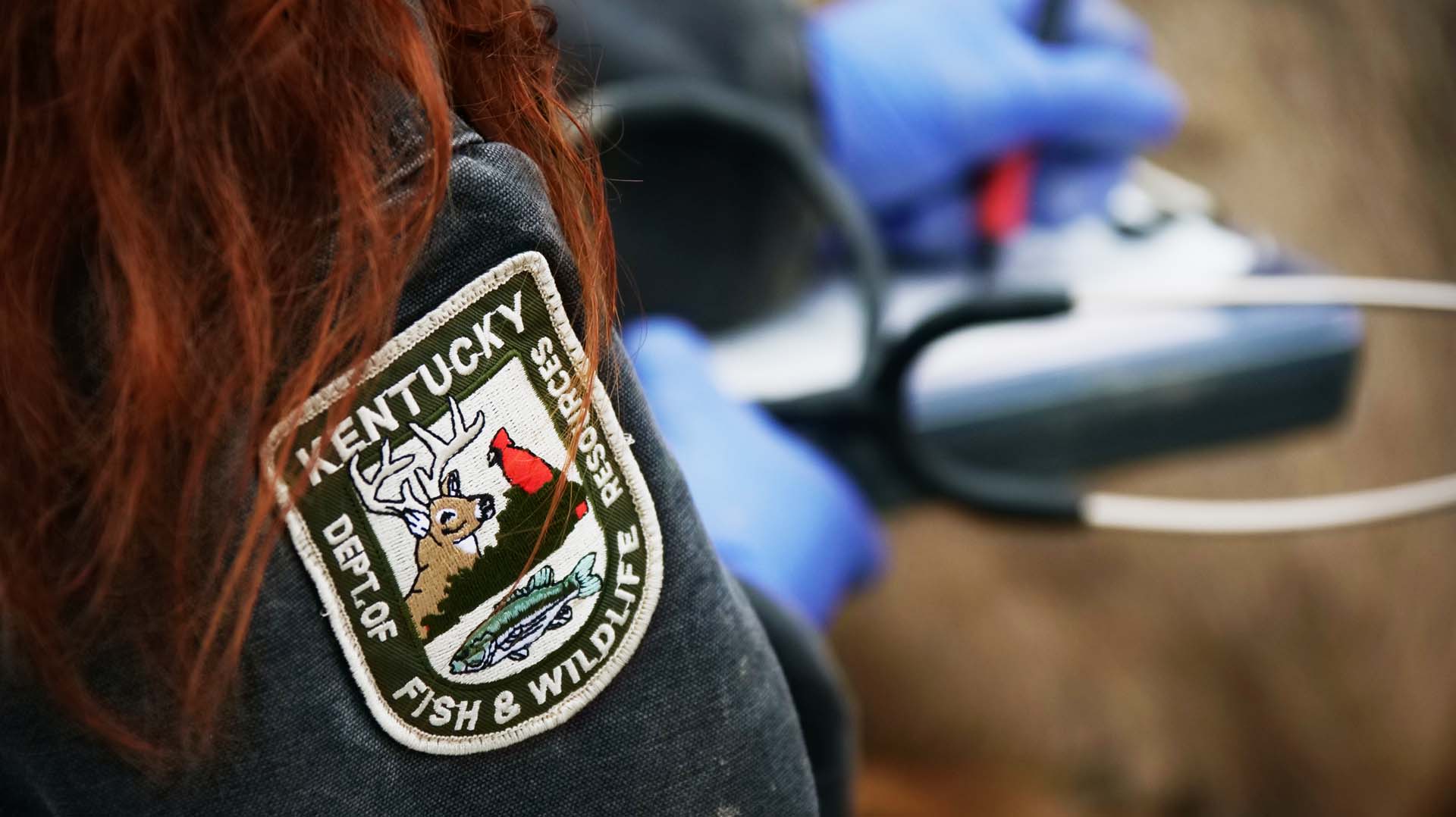 Close up image of a Kentucky Department of Fish and Wildlife Resources park ranger's patch on their sleeve.