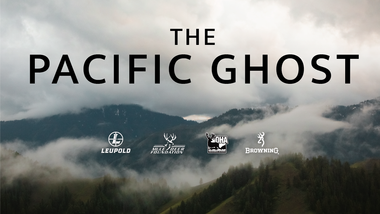 foggy mountains in the pacific northwest