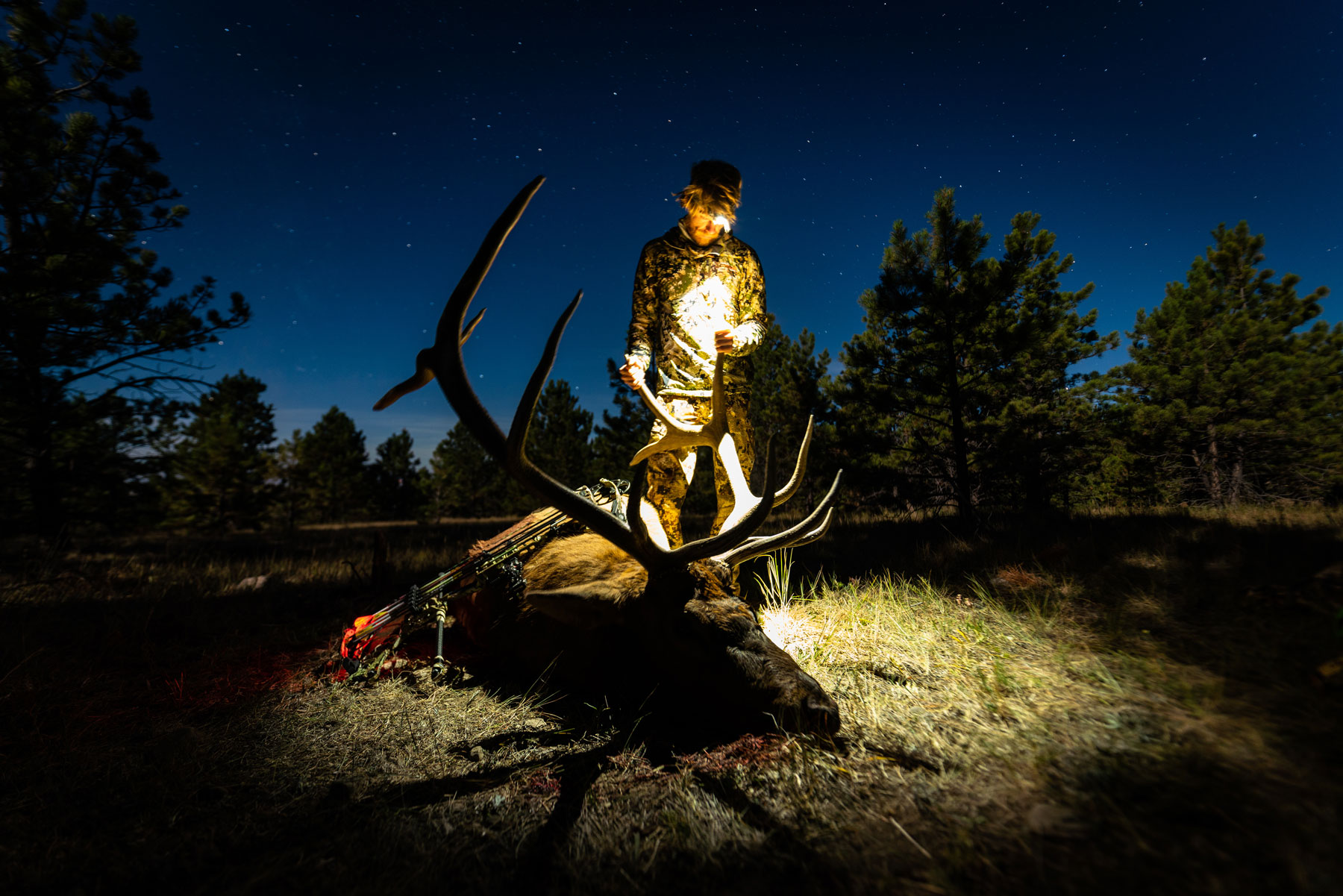 archery hunter standing over branch bull elk