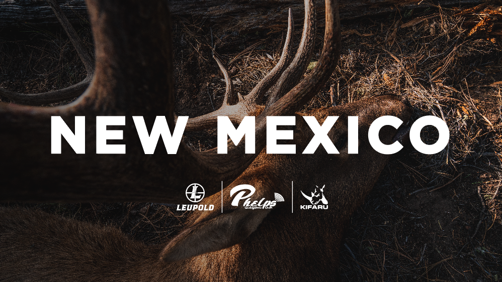 NEW MEXICO - Archery Elk Hunt with Phelps Game Calls