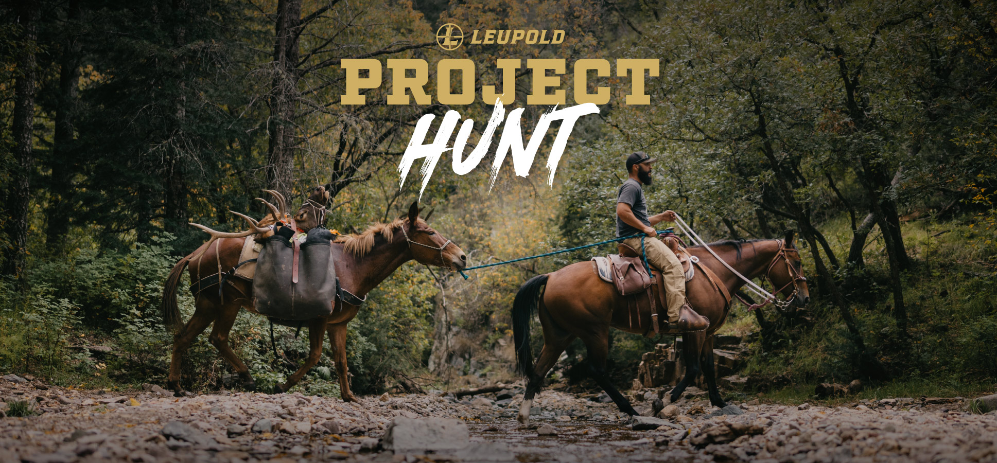 man riding horseback in forest with elk antlers on trailing horse