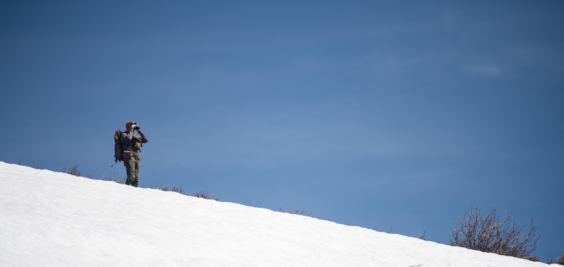 hunter glasses horizon on snow bank