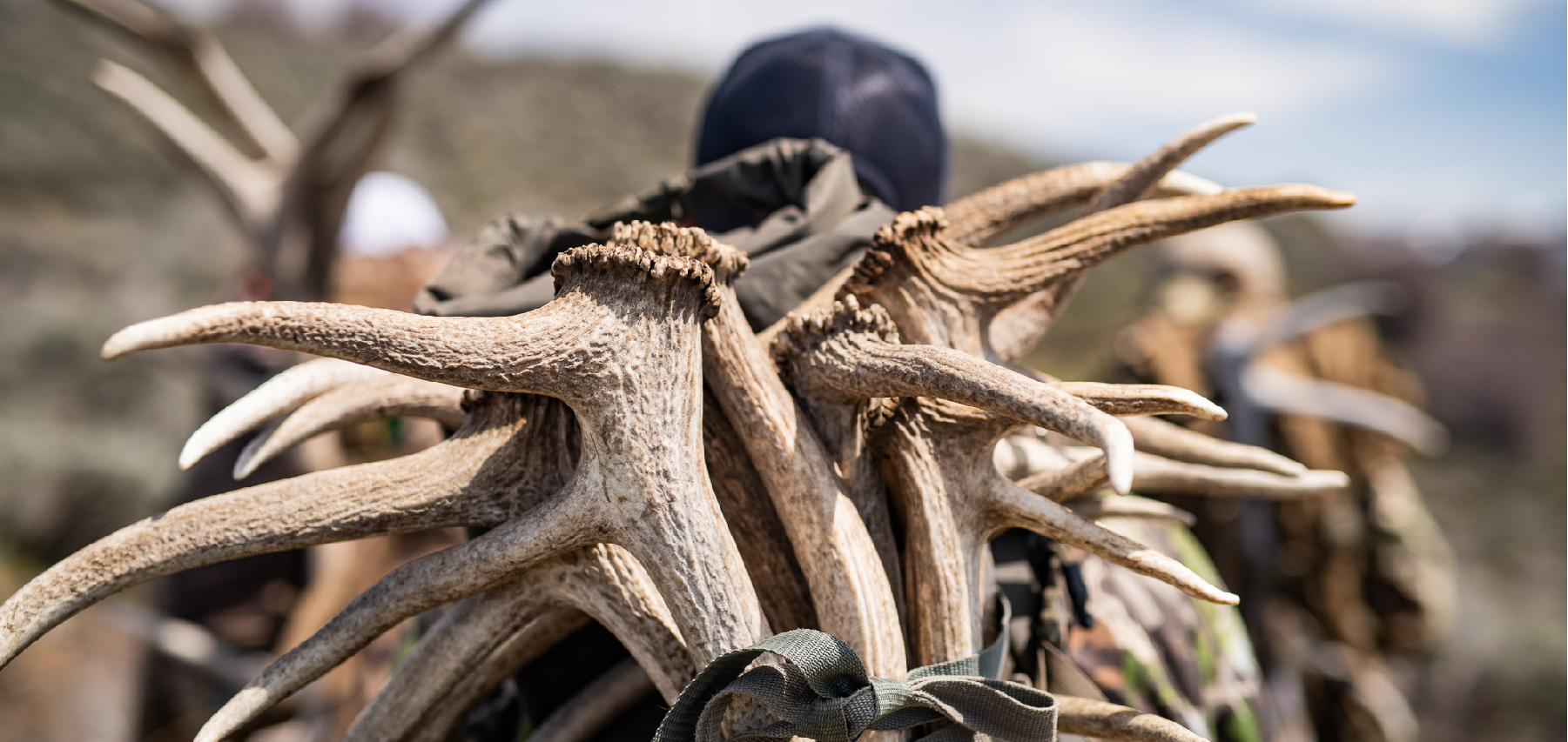 hunter with pack full of elk antlers