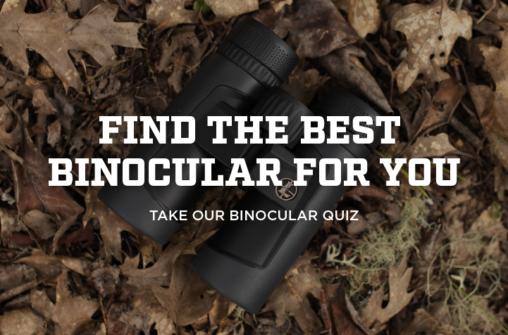 H1 binocular laying in leaves